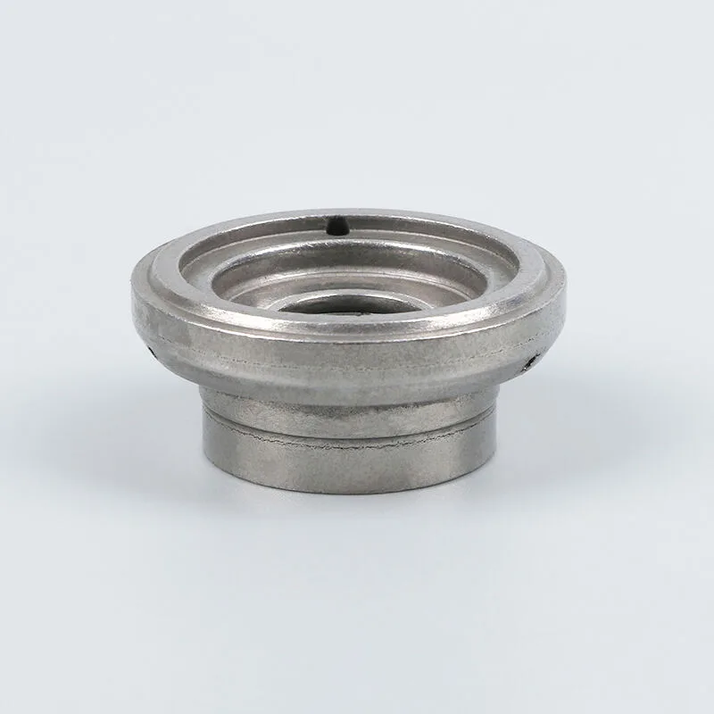 guía de amortiguadores 1