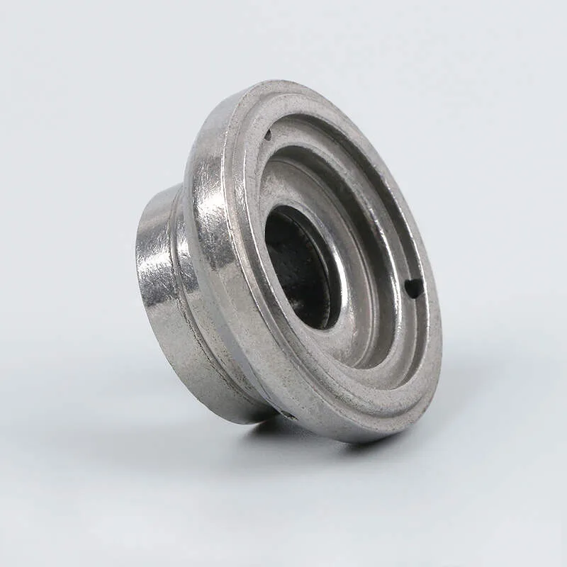 guía de amortiguadores 2