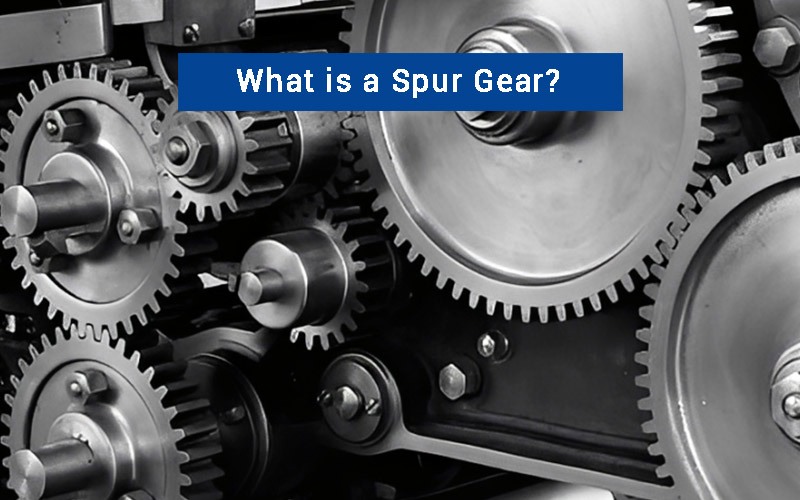 What is Spur Gear
