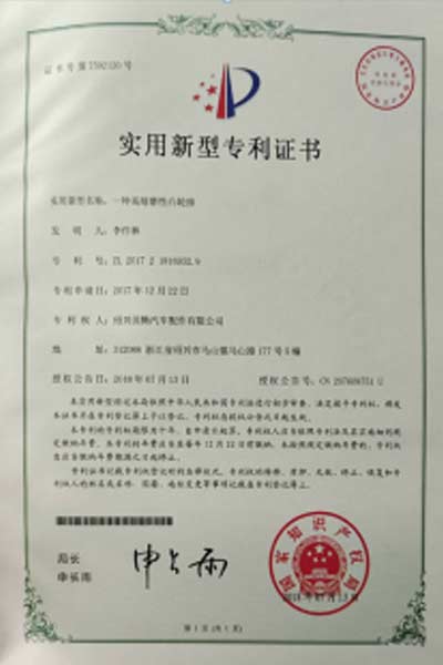 BLUE Cam Seat Patent Certificate