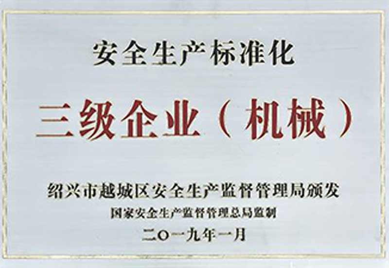 BLUE Safety Standardization Certificate