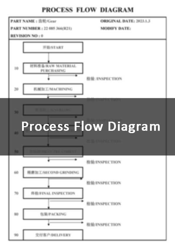 Process Flow Diagram